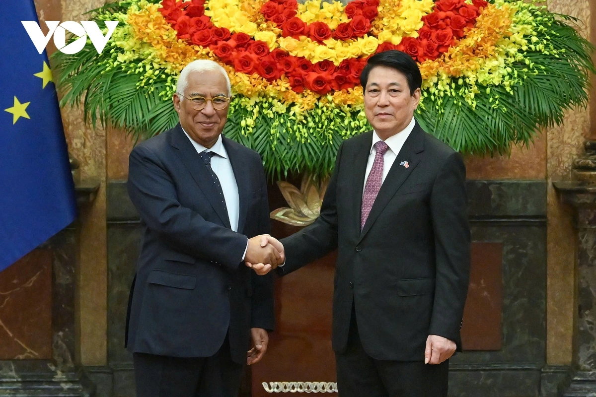 Nuôi đầu đuôi khung 3 ngày chính xác nhất - Chìa khóa thành công trong đầu tư tài chính